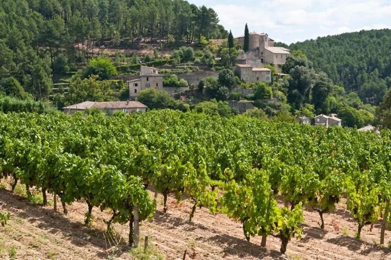 Holiday home Villa De Charme & Sa Piscine Privee - Ardeche Les Vans